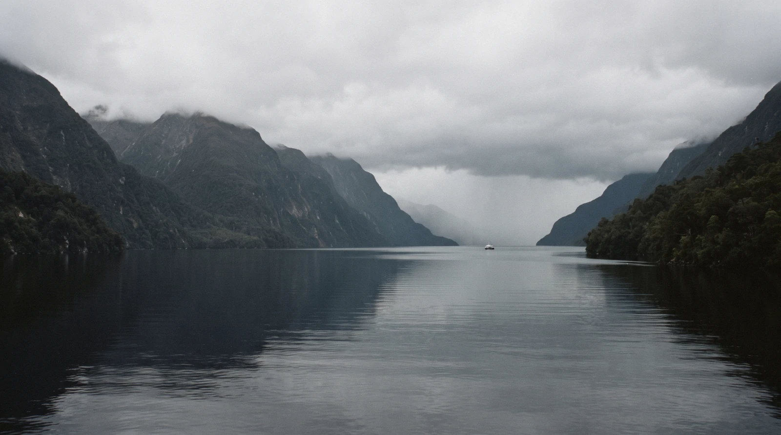 Milford or Doubtful Sound: Which Fiord Day to Book