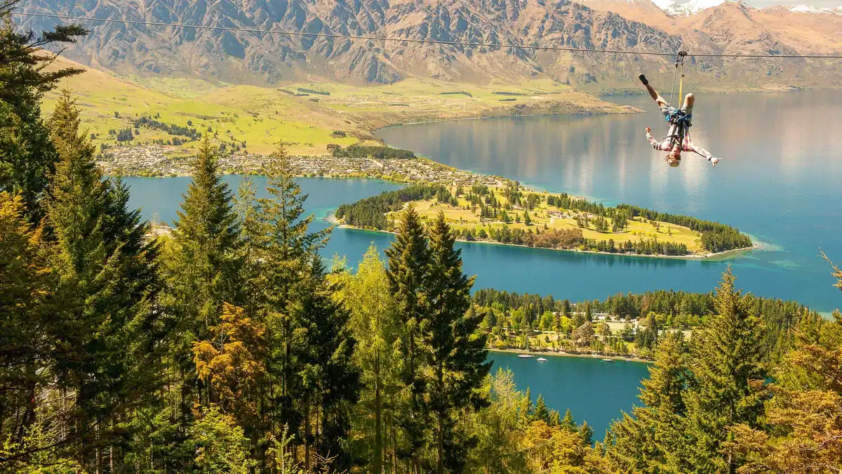 A zipline descending through beech forest towards the lake — Ziptrek Queenstown ziplining, New Zealand