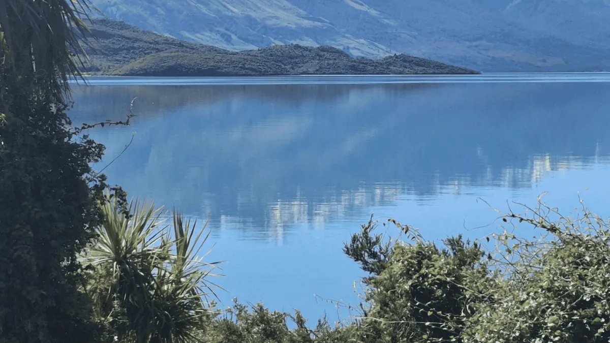 Double sea kayaks on flat water off a beech-lined island shore — Lake Wakatipu, Queenstown, New Zealand